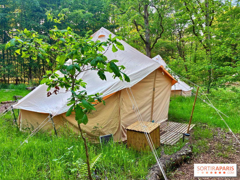 Bivouac avec les loups