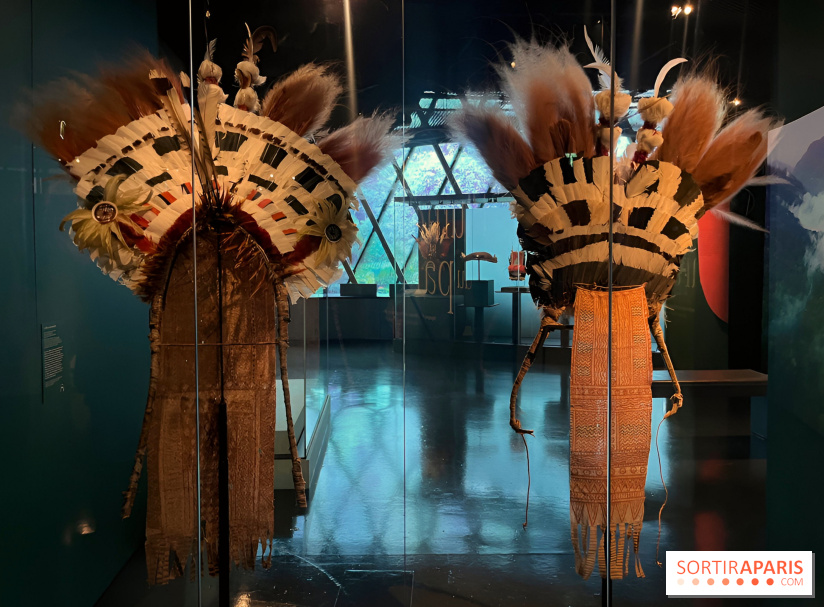 Plumes de Paradis, l'expo au musée du Quai Branly - nos photos