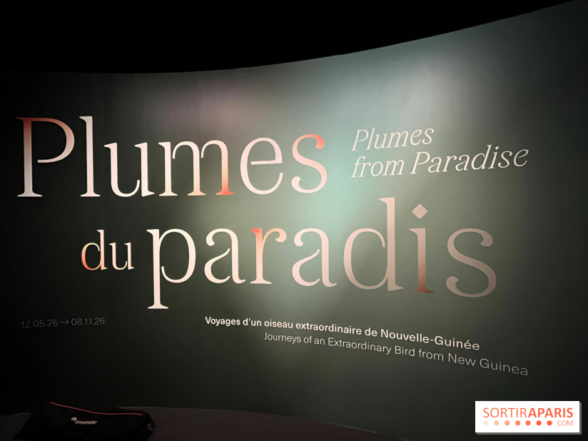Plumes de Paradis, l'expo au musée du Quai Branly - nos photos
