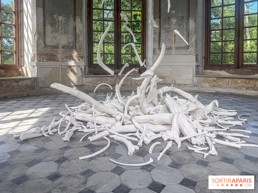 Lélia Demoisy au Domaine de Chamarande : une exposition autour des récits de forêts