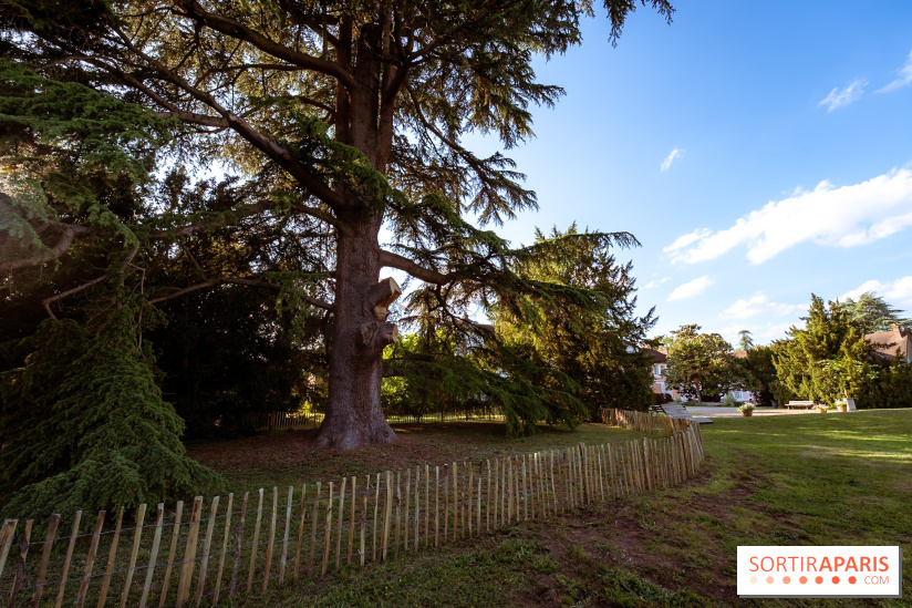 Le Parc et château de Lardy en Essonne - photos