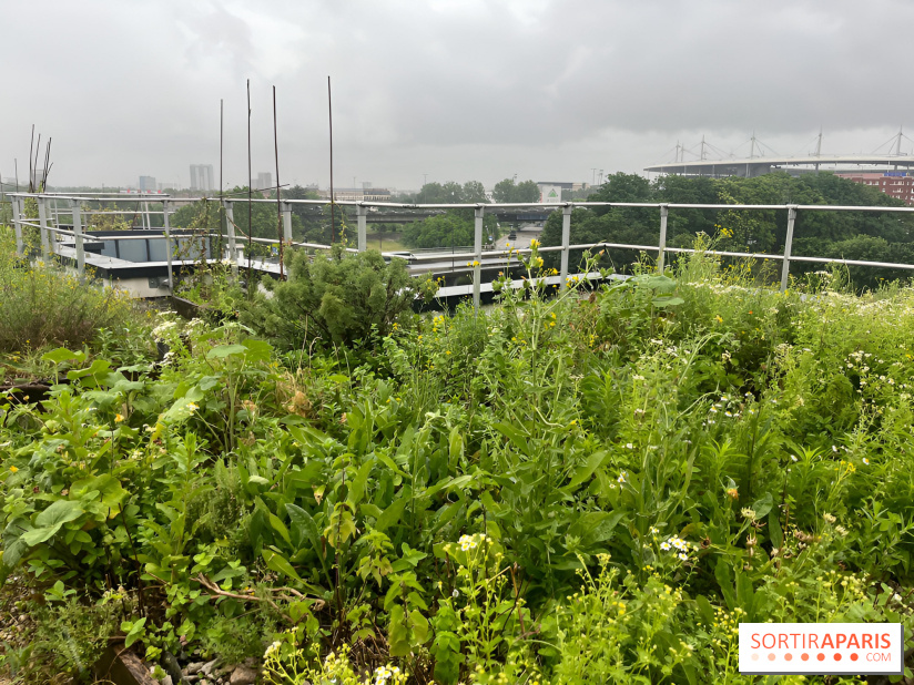 L'aromathèque Persépolis, sur le toit de la bourse du travail à Saint-Denis - nos photos
