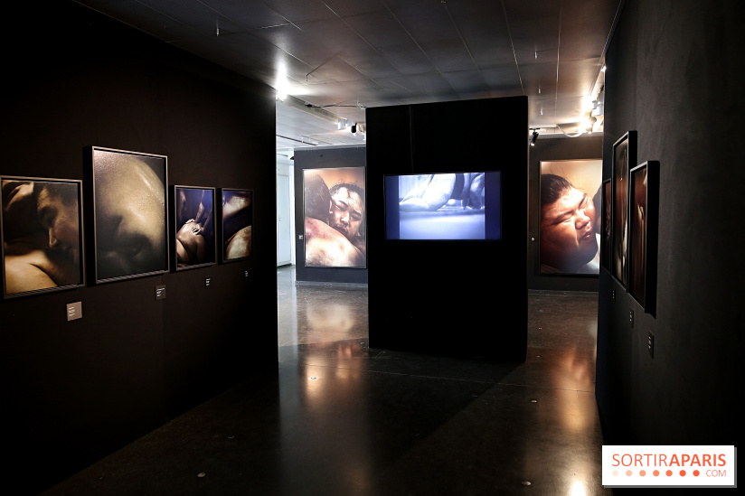 Sumo, forces sacrées : nos photos de l'exposition