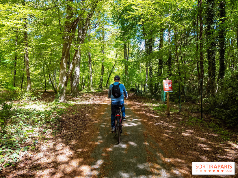 Liaisons douces à Fontainebleau : la forêt à vélo, les photos