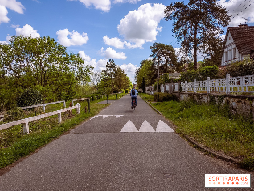 Liaisons douces à Fontainebleau : la forêt à vélo, les photos