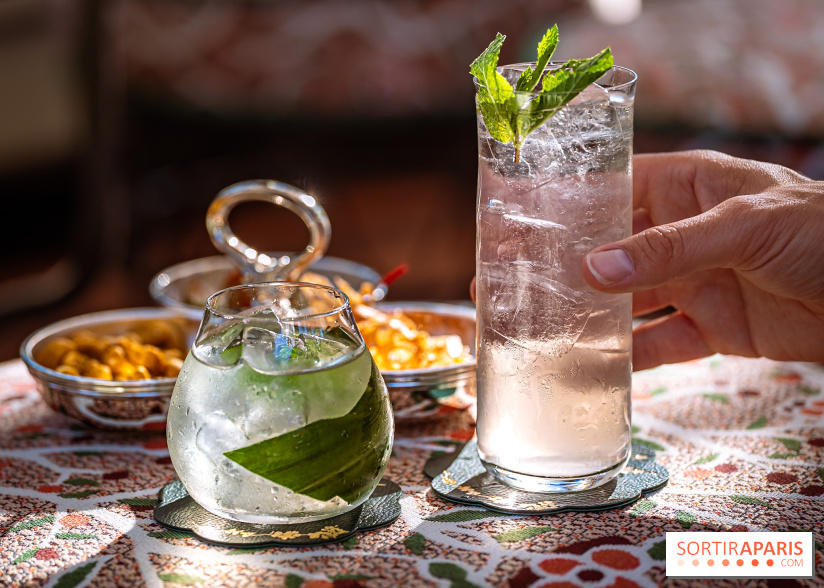 Le Rooftop du Fouquet's, bar à cocktail et cuisine fusion japonaise - photos