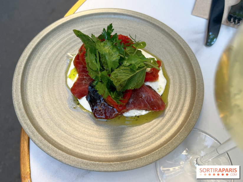 Niní Restaurant - Thonine stracciatella, poivrons