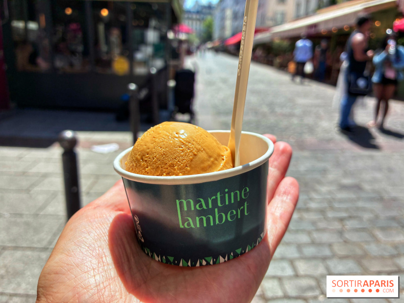 Glaces Martine Lambert