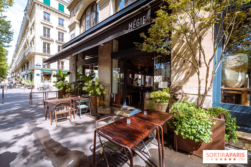 Mégie, la cantine botanique, boutique et atelier floral - photos