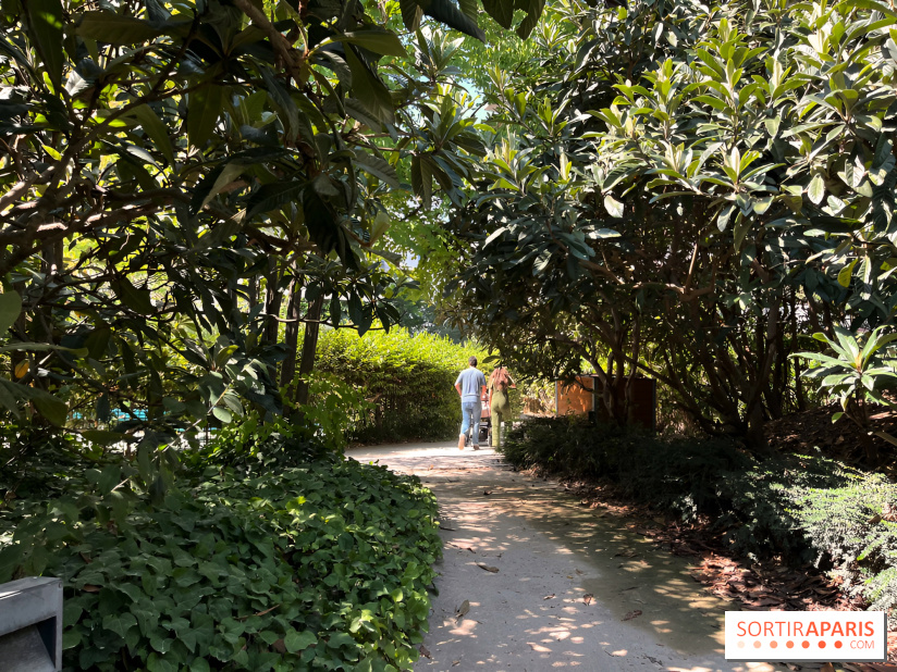 Le Jardin Claire Motte, square secret dans le 17e arrondissement