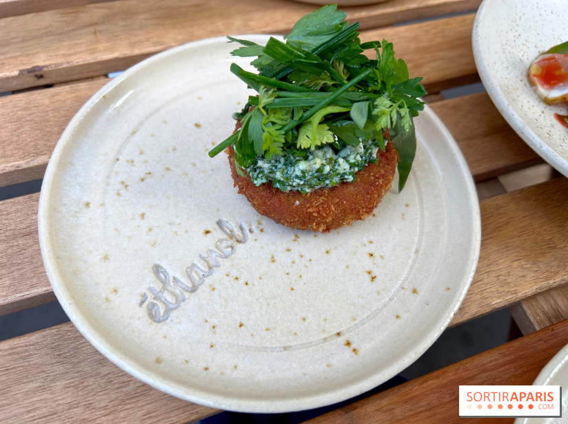 Ethanol - Croquettes de rillettes