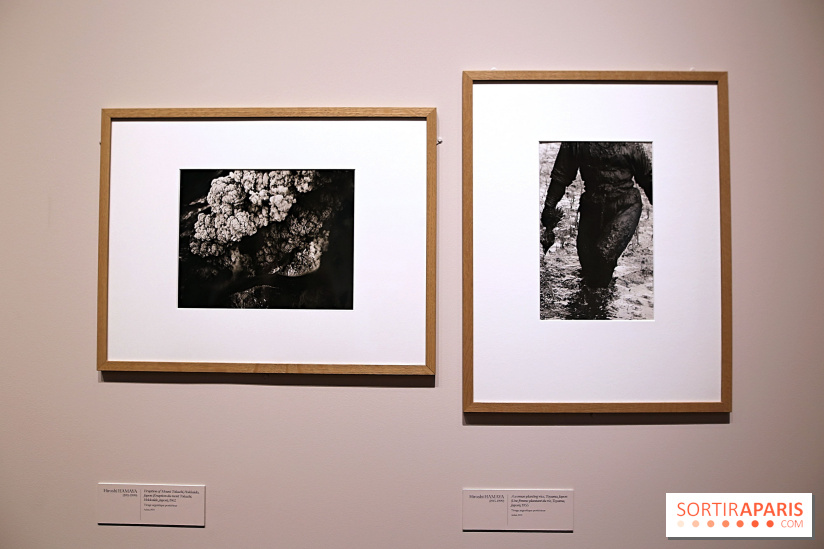 Photographies japonaises de la BnF - nos photos de l'exposition