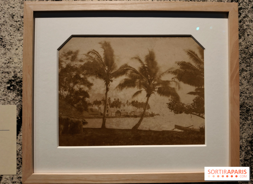 Voir Tahiti : une exposition qui dévoile les premières photos du XIXe siècle au musée du Quai Branly