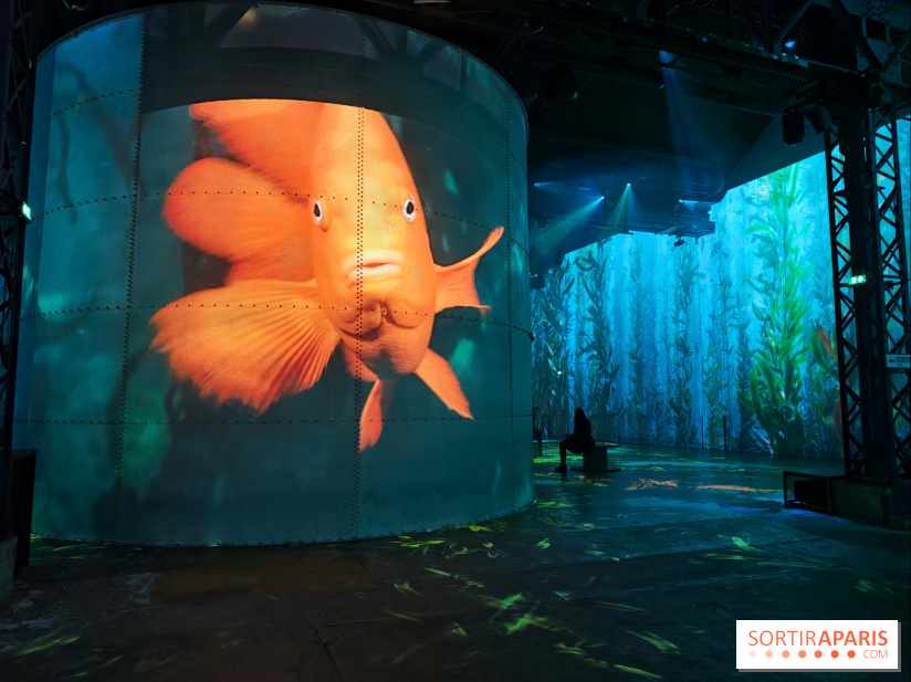 Plongez à la découverte de Planète Océan, l’exposition immersive de l’Atelier des Lumières