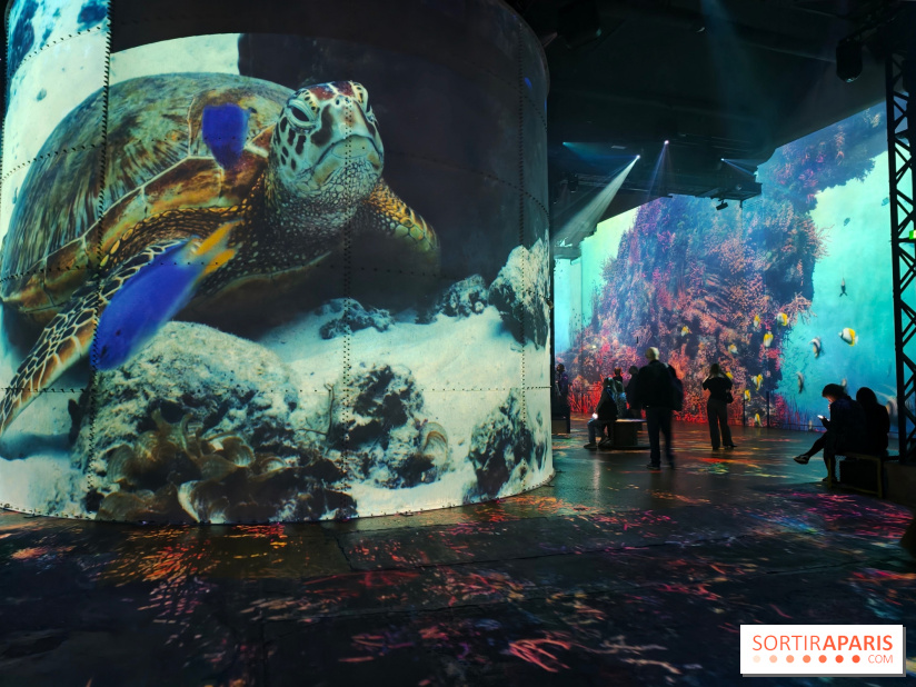Plongez à la découverte de Planète Océan, l’exposition immersive de l’Atelier des Lumières