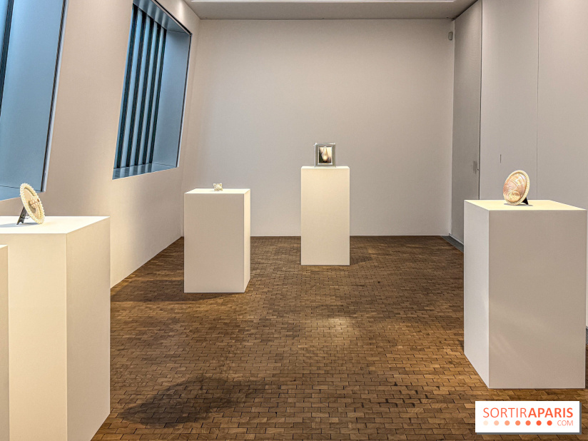Hélène Fauquet : Vivresse, l’exposition entre bulles et coquillages à Lafayette Anticipations.