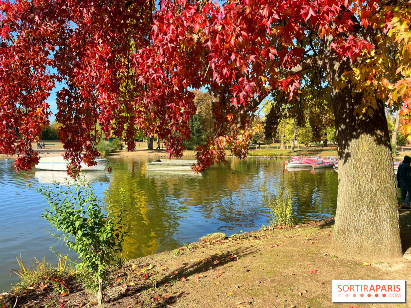 Les îles du Lac Daumesnil, une escapade dans le 12e arrondissement de Paris
