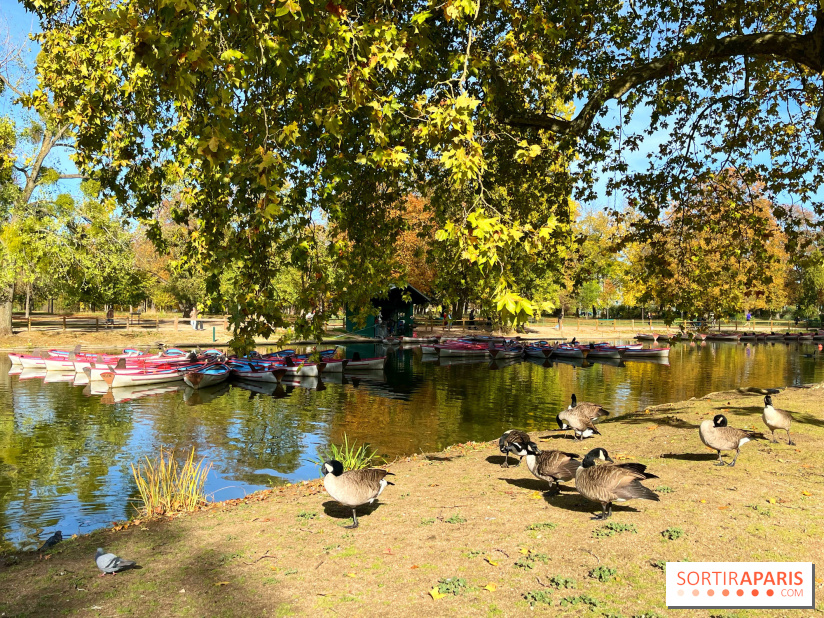 Les îles du Lac Daumesnil, une escapade dans le 12e arrondissement de Paris