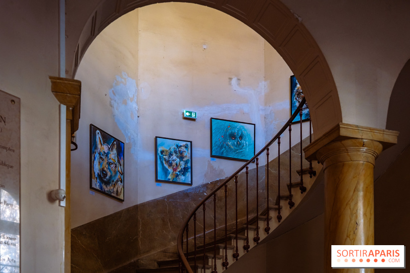 Empreintes, l'exposition Street-art gratuite de Sax à la Fondation Eugène Napoléon