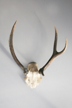 Brocante Lab REcyclerie