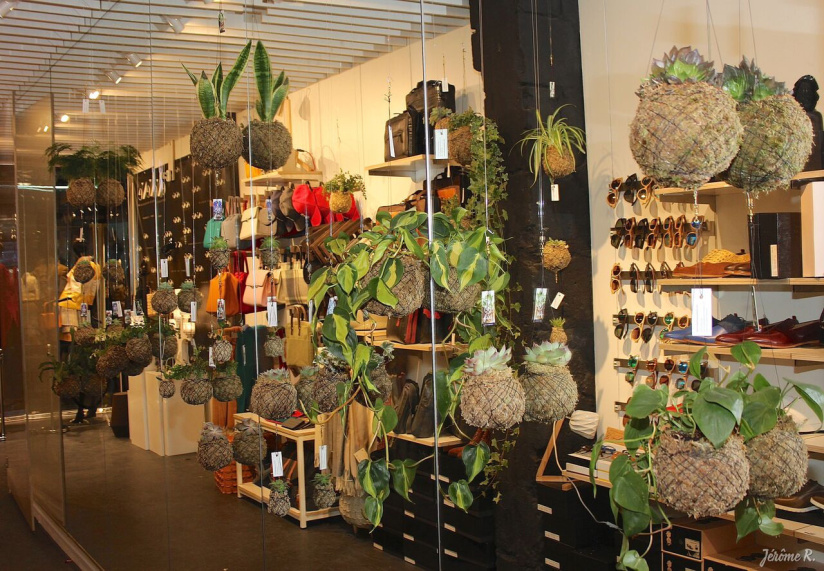 eNeNe Concept Store