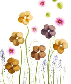 Pierre Marcolini lance ses glaces pour l'été