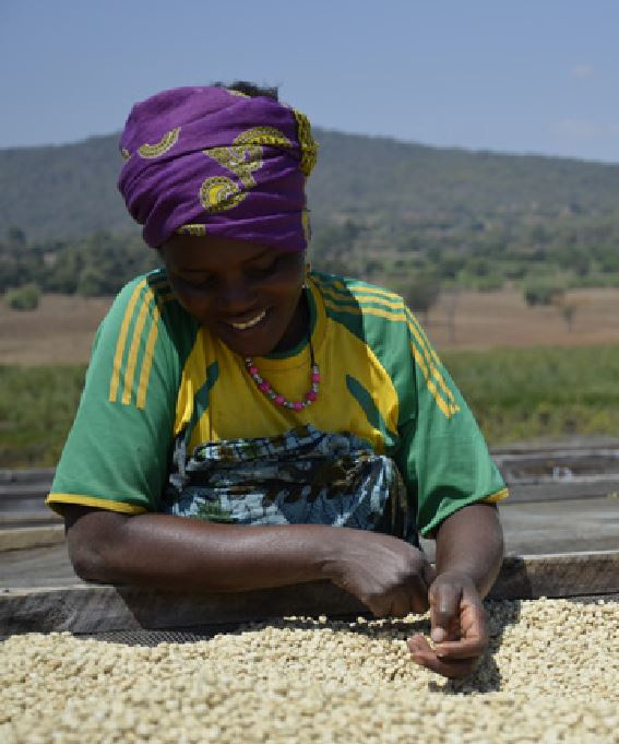 La Compagnie du Café : atelier de torréfaction et coffee shop
