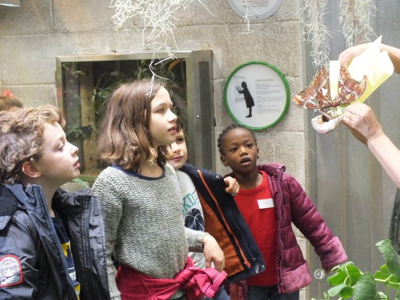 vacances de Noël 2019 : stage pollinisateurs en herbe à Clichy-la-Garenne