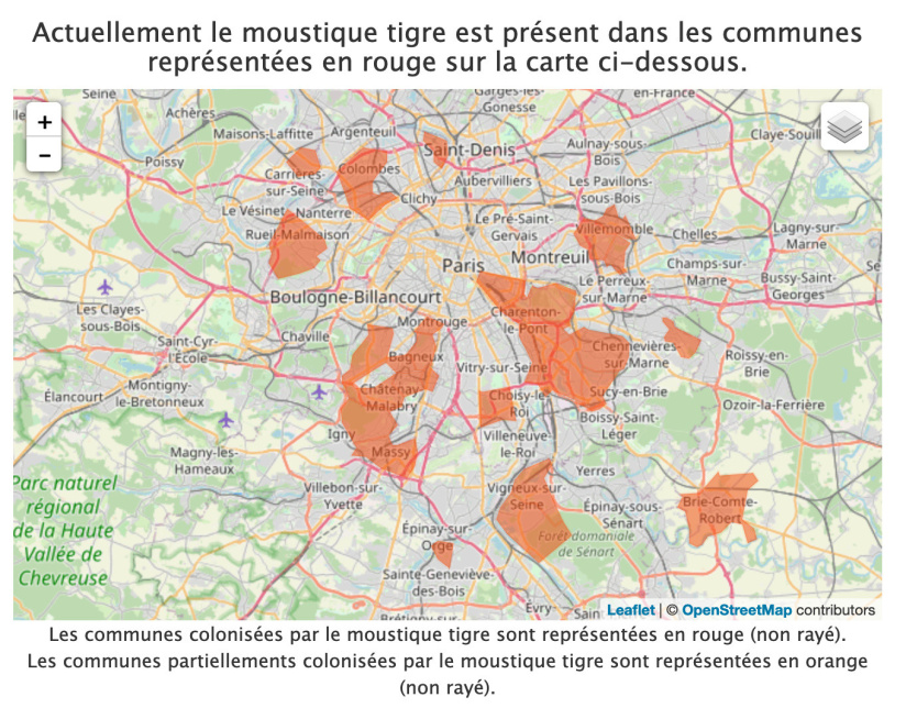 Moustique tigre : un site internet pour signaler le poustique et éviter des épidémies de dengue et de Zika