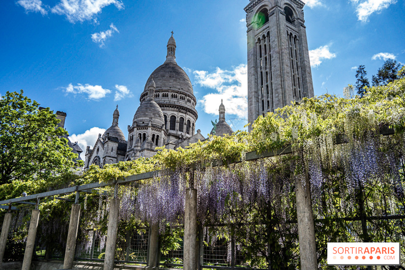 Ou voir les plus belles glycines de Paris, les spots incontournables et cachés - square Marcel Bleustein Blanchet
