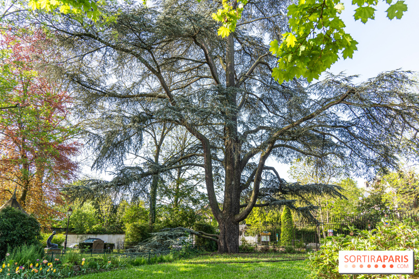 Insolite dans les Yvelines, la superbe grotte cascade du Parc du Dr Fauvel à Villennes-sur-Seine
