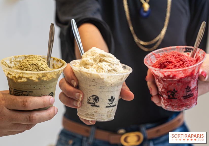 Les glaces granité-neige et crème glacées ultra rafraichissantes de Jade Génin pour se régaler 2024