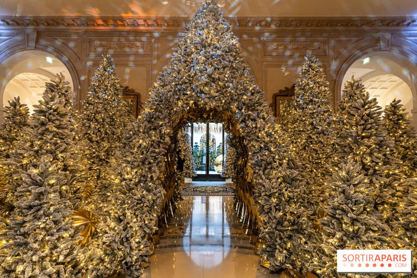 15 spots photos de Noël canons à Paris 2024 pour profiter des illuminations féériques : Four Seasons George V