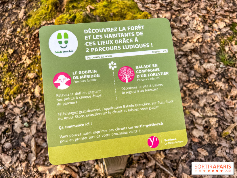 Balade interactive en forêt de Méridon : “Conte de Mélida, l’esprit de la forêt” dans les Yvelines