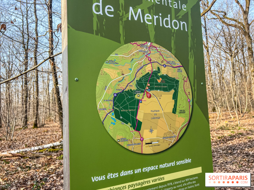 Balade interactive en forêt de Méridon : “Conte de Mélida, l’esprit de la forêt” dans les Yvelines