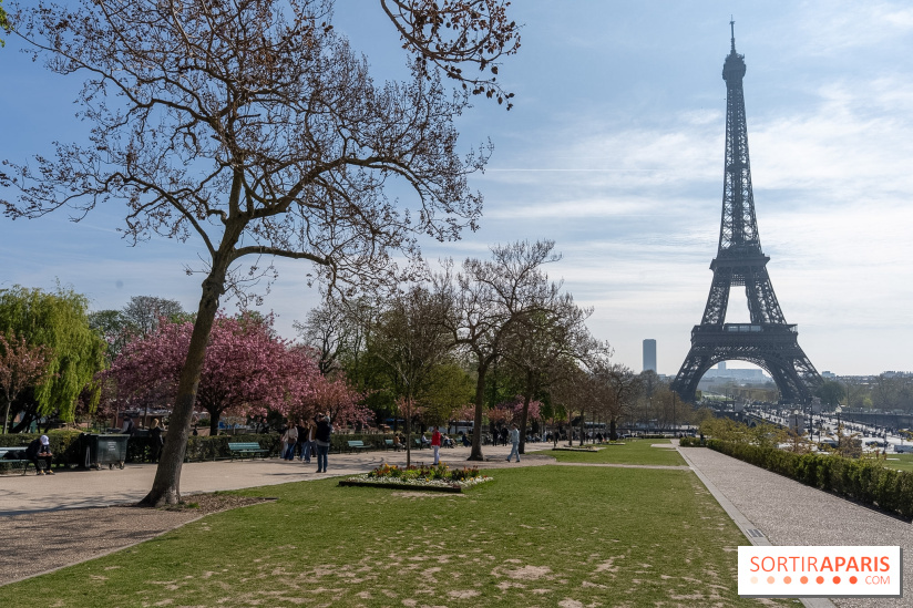 Les cerisiers du Trocadéro fleurissent avec de l'avance en ce printemps 2026