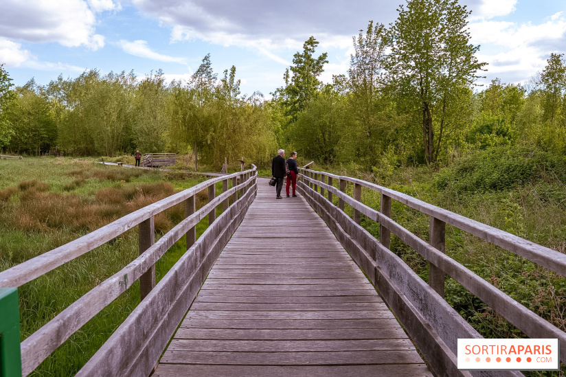 Ile du Perthuis Seine et Marne 
