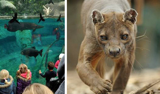 Le Parc Zoologique de Paris pour les vacances de printemps