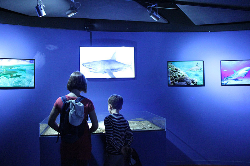 L'histoire des requins, l'expo de l'Aquarium de Paris