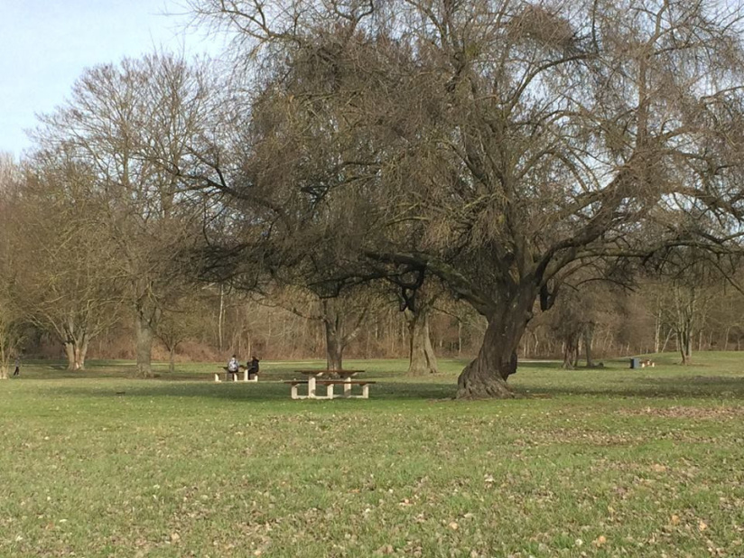 Où faire un barbecue en Ile de France ?