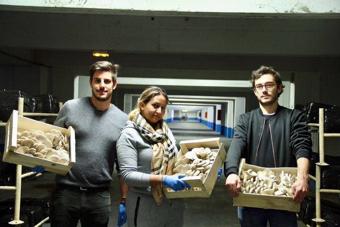 La Caverne, la première ferme urbaine en sous-sol de Paris