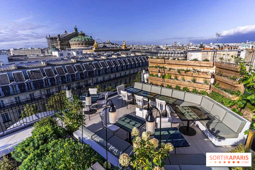 Sequoia, le Bar en rooftop du Kimpton St Honoré Paris 