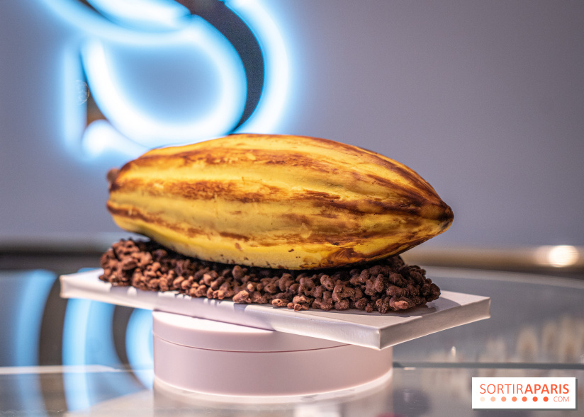 La Bûche de Noël de la pâtisserie CinqSens par Nicolas Paciello et la Chocologue