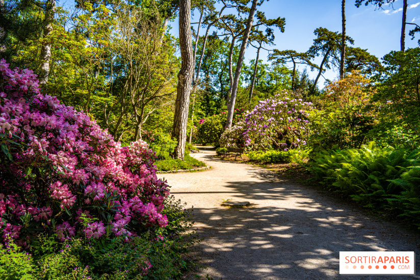 Le Parc Floral, un magnifique écrin de verdure à Paris