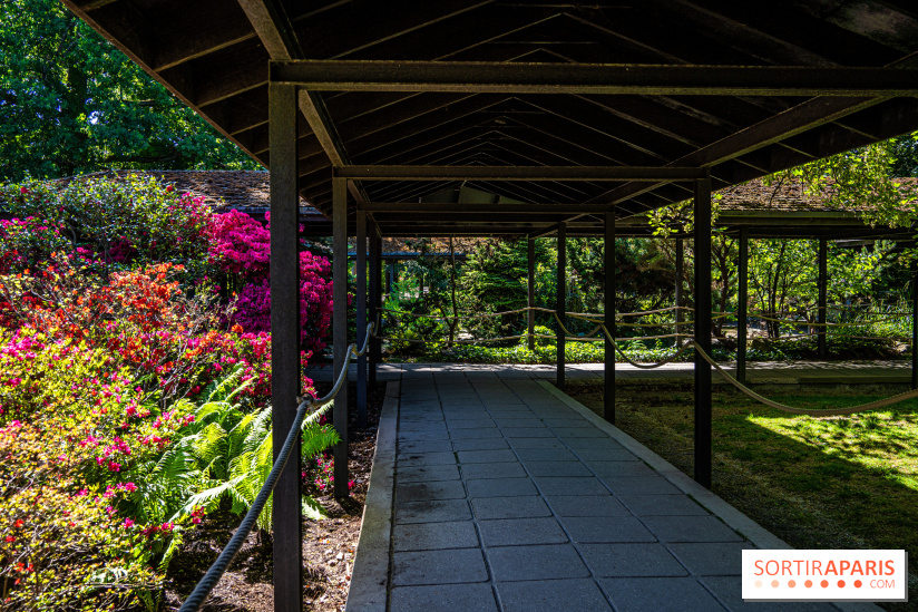Le Parc Floral, un magnifique écrin de verdure à Paris