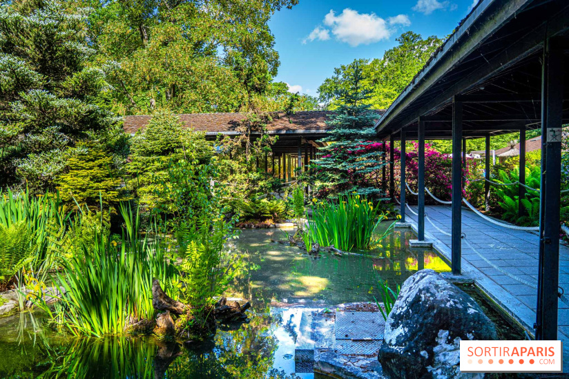 Les jardins japonais du Parc Floral de Paris au Bois de Vincennes 