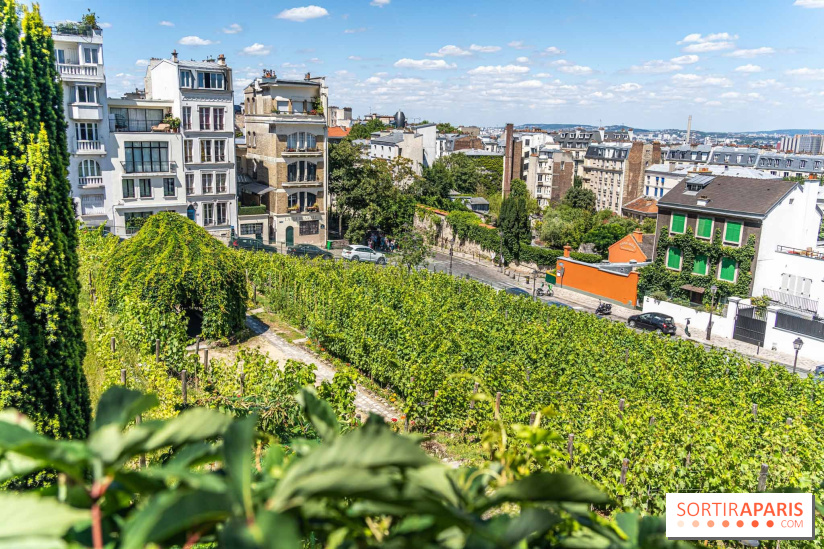Le Café Renoir, la terrasse estivale cachée du Musée de Montmartre