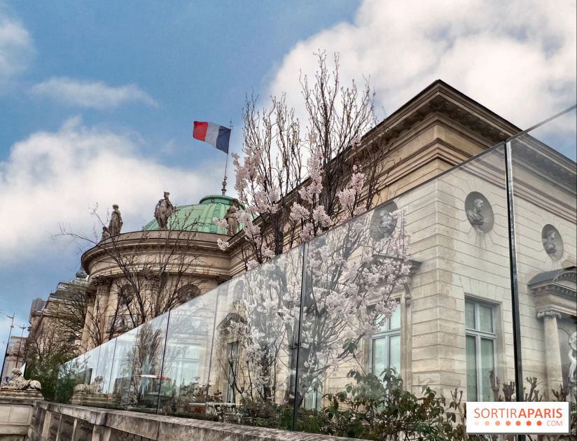 Découvrez le Musée gratuit de la Légion d'Honneur : Un Voyage à Travers l'Histoire des Distinctions