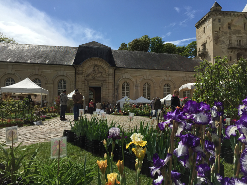 Fête des Plantes 2023 au Château de La Roche-Guyon (95)