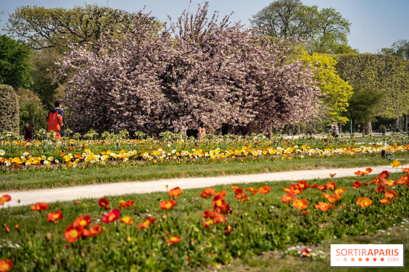 8 trésors méconnus du Jardin des Plantes de Paris à découvrir absolument
